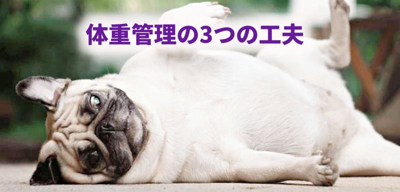 「体重管理の3つの工夫」というテキストと、仰向けに転がっているパグの画像