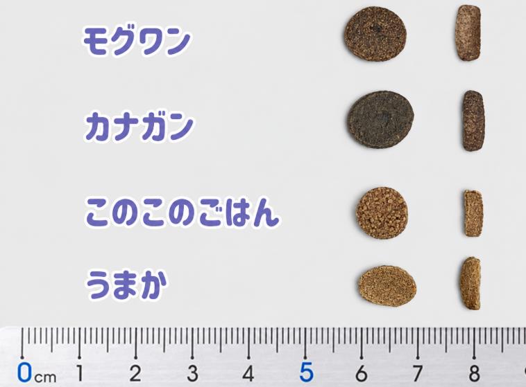 人気のドッグフード4種(モグワン・カナガン・このこのごはん・うまか)の粒のサイズ・厚みを比較・解説する画像